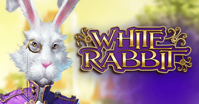 White Rabbit at LuckyTwice